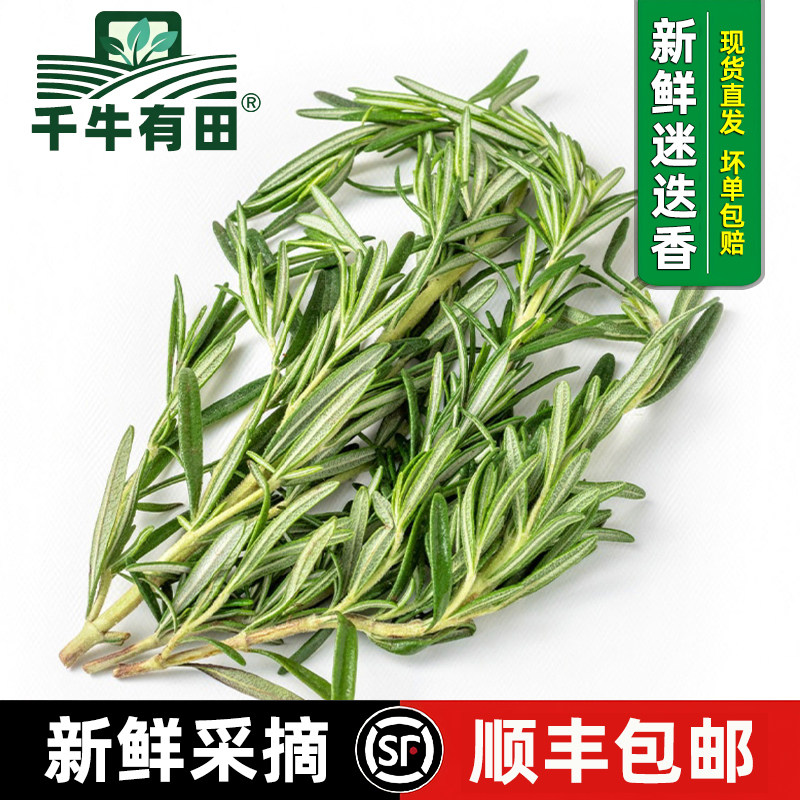 煎牛排蛋糕摆盘装饰香料烧烤