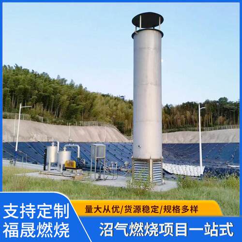 垃圾填埋场沼气火炬系统脱水脱硫压沼气燃烧排放设备