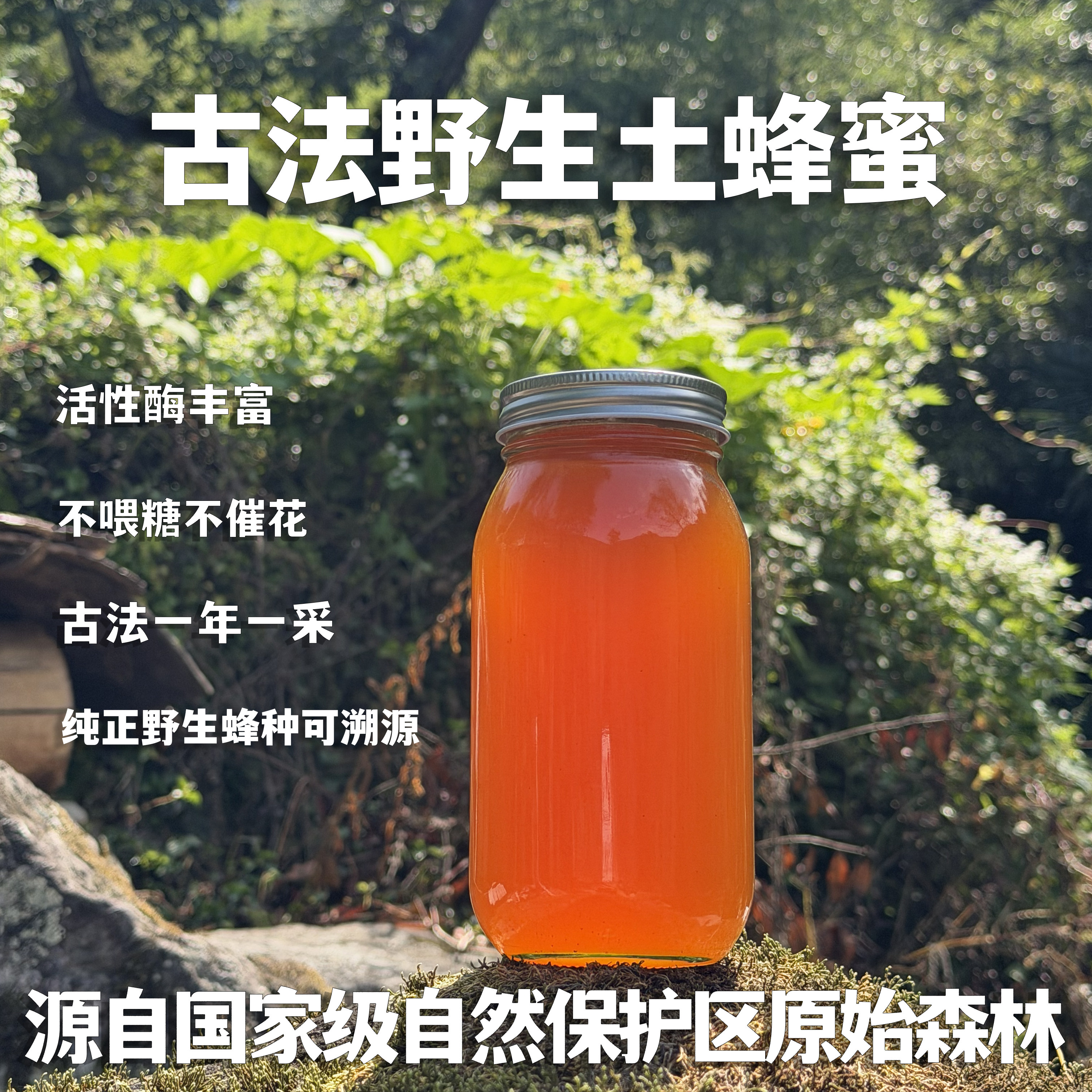 国家级自然保护区古法野生土蜂蜜