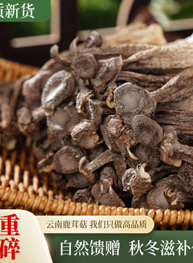 云南土特产鹿茸菇干货脆脆菇煲汤炒菜蘑菇野生菌非特级官方旗舰店
