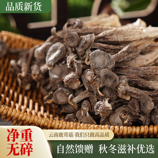 云南土特产鹿茸菇干货脆脆菇煲汤炒菜蘑菇野生菌非特级官方旗舰店
