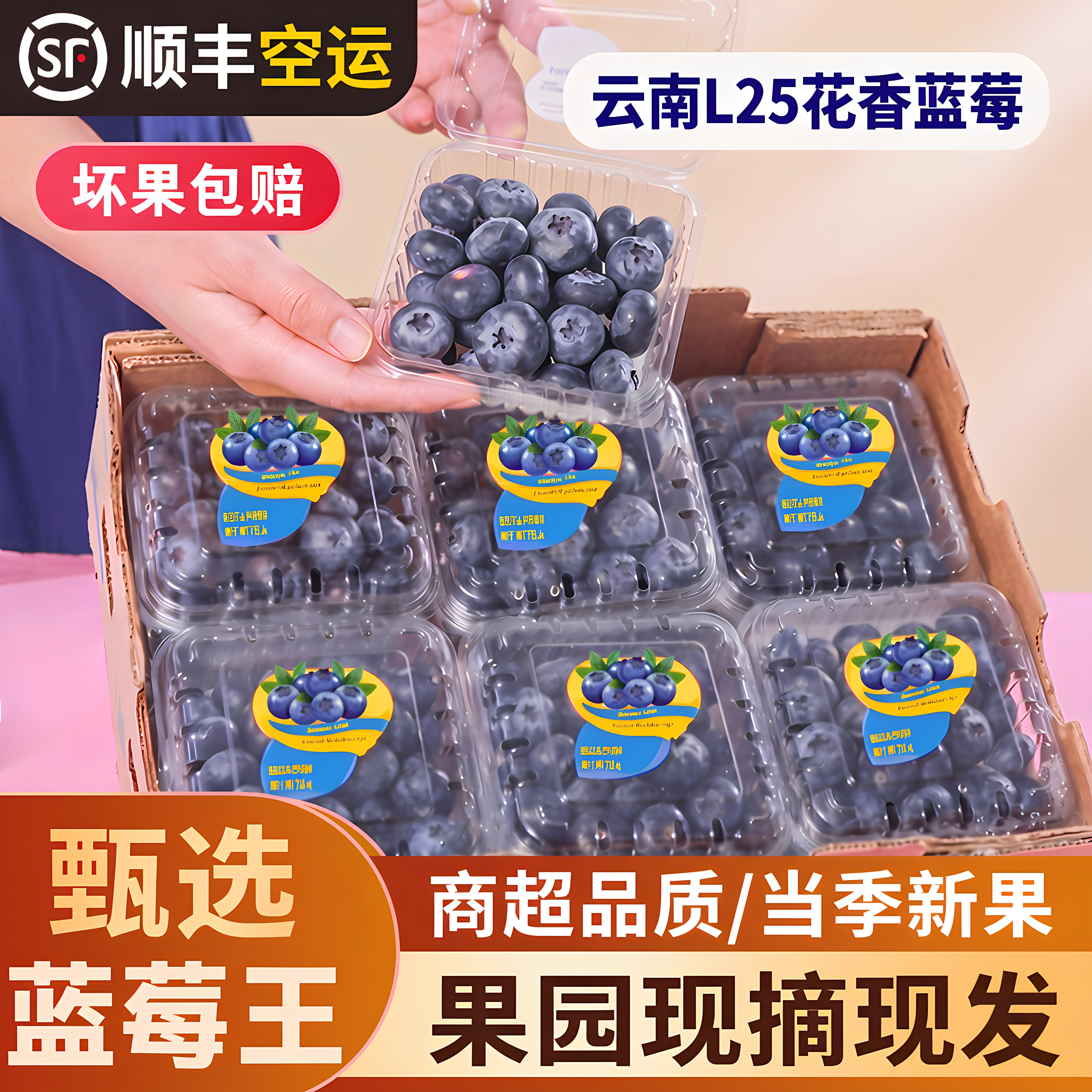 云南L25高山花香蓝莓现摘整箱