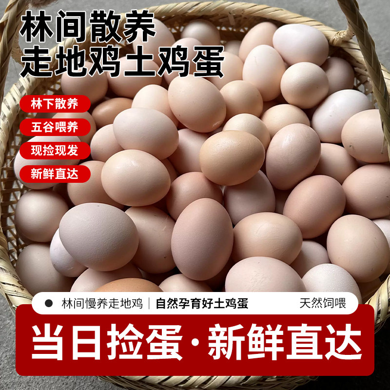 正宗农家散养大个土鸡蛋新鲜现捡