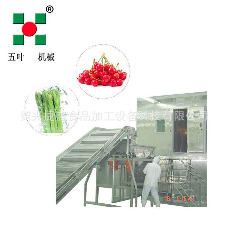 每小时一吨西梅鲜冻机 玉米段速冻设备 草莓秒冻线
