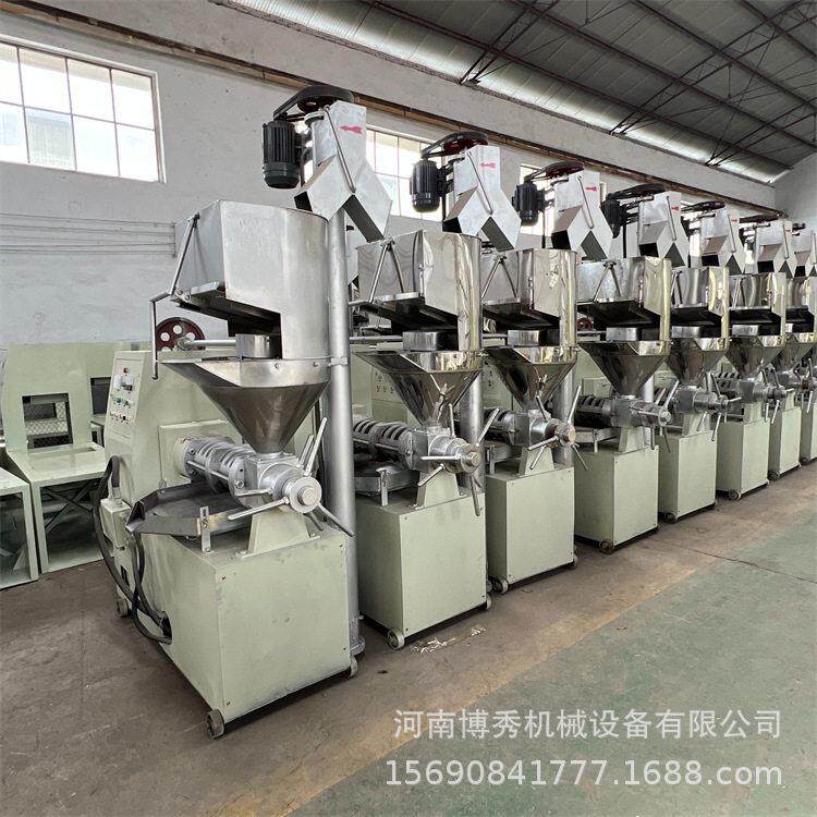 出油率螺旋榨油机 油菜籽花生冷榨机 商用全自动设备 质保一年