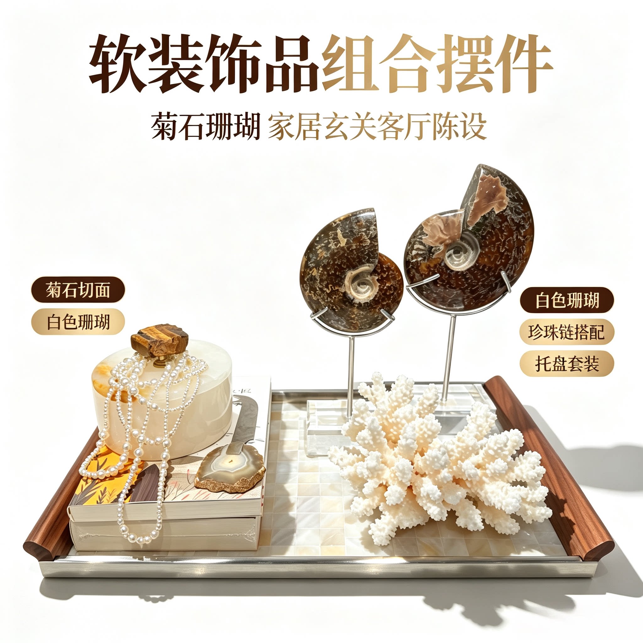轻奢软装饰品组合 菊石珊瑚托盘摆件 家居艺术陈设