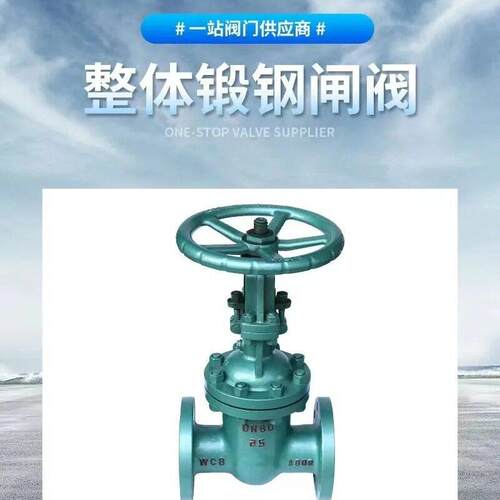 DKZ41H-16C/25真空隔离闸阀 真空水封闸阀 WCB手动铸钢法兰闸阀