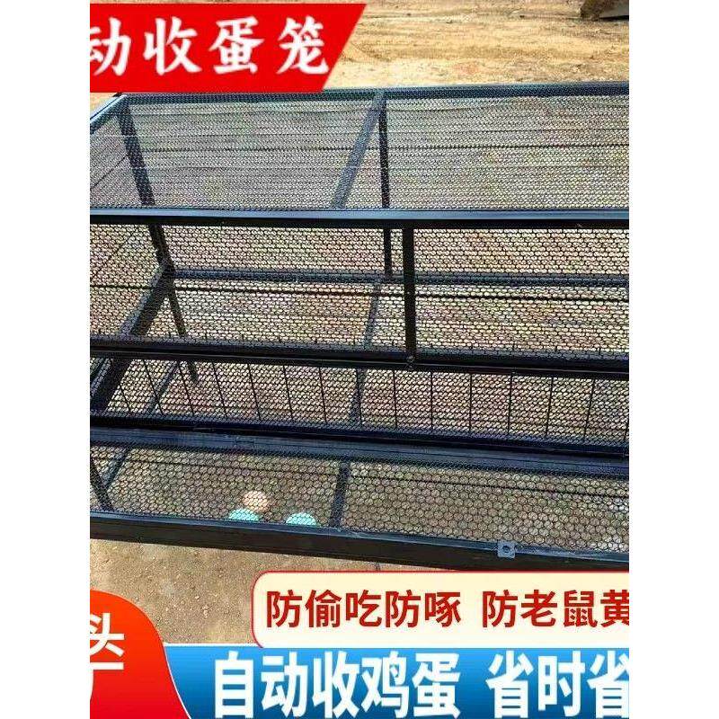 养殖笼自动收蛋储蛋笼户外母鸡下蛋笼防啄蛋鸡专用防黄鼠狼家禽笼