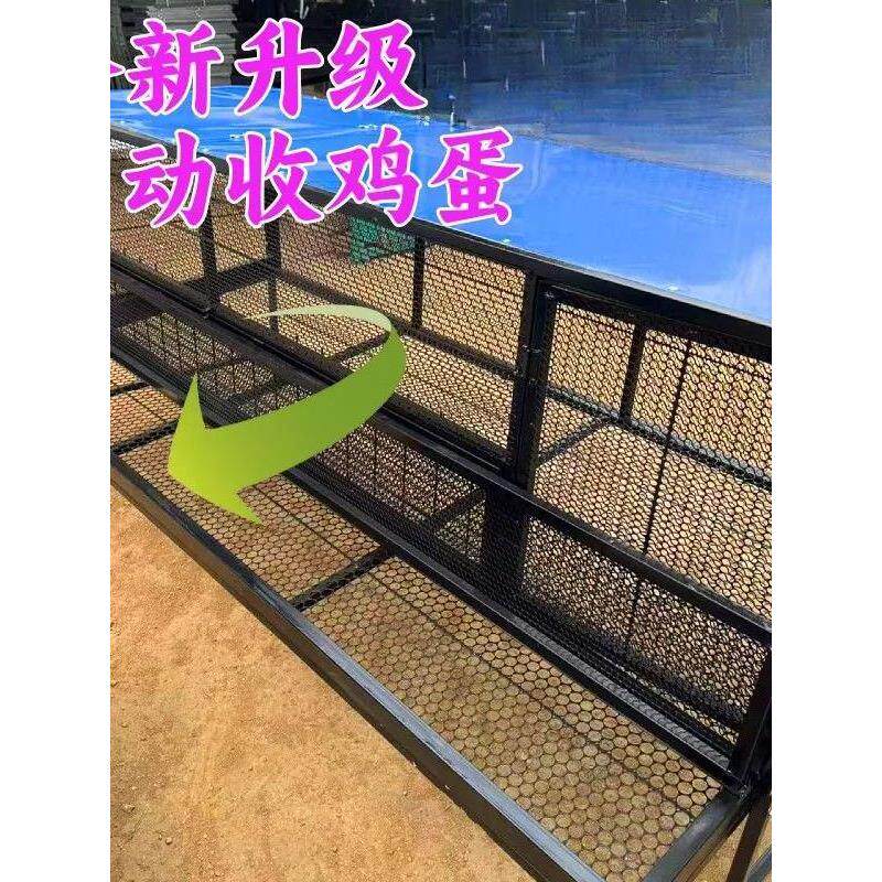 养殖笼户外母鸡下蛋笼自动收蛋储蛋笼防啄蛋鸡专用防黄鼠狼家禽笼
