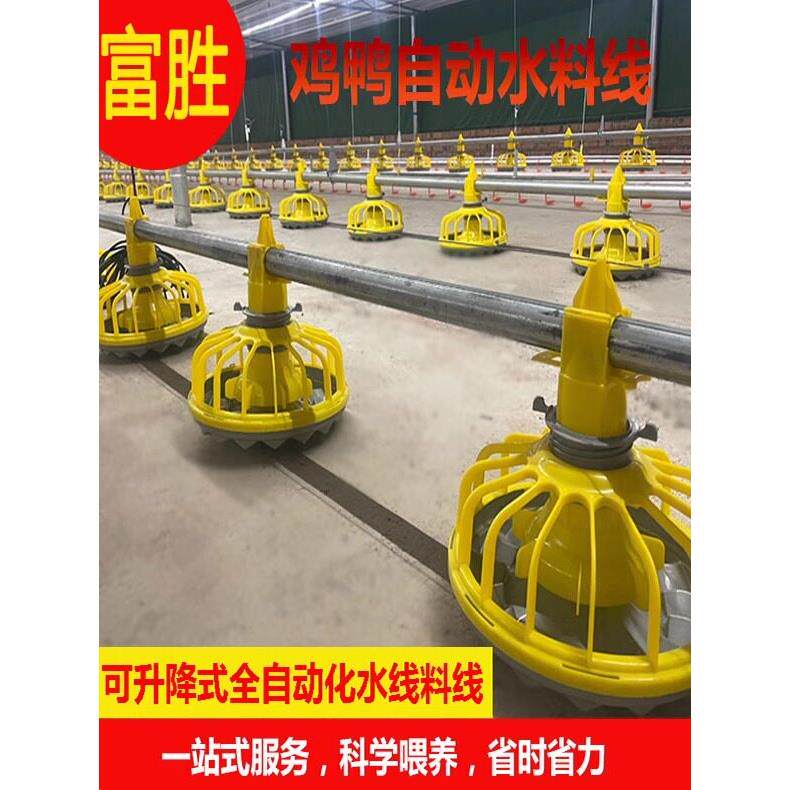 养鸡场自动喂料机饮水器养殖场专用水线料线全自动化上料机投料机
