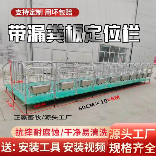 母猪定位栏养猪场设备限位栏带漏粪板定位栏热浸镀锌猪用覆合定位