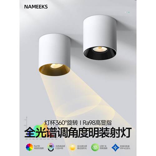 360度可旋转明装射灯背景墙装饰画玄关客厅洗墙灯深防眩象鼻灯led