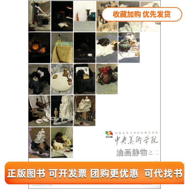 【正版书包邮】中央美术学院油画静物之二中国高等艺术院校教学范本袁元人民美术出版社