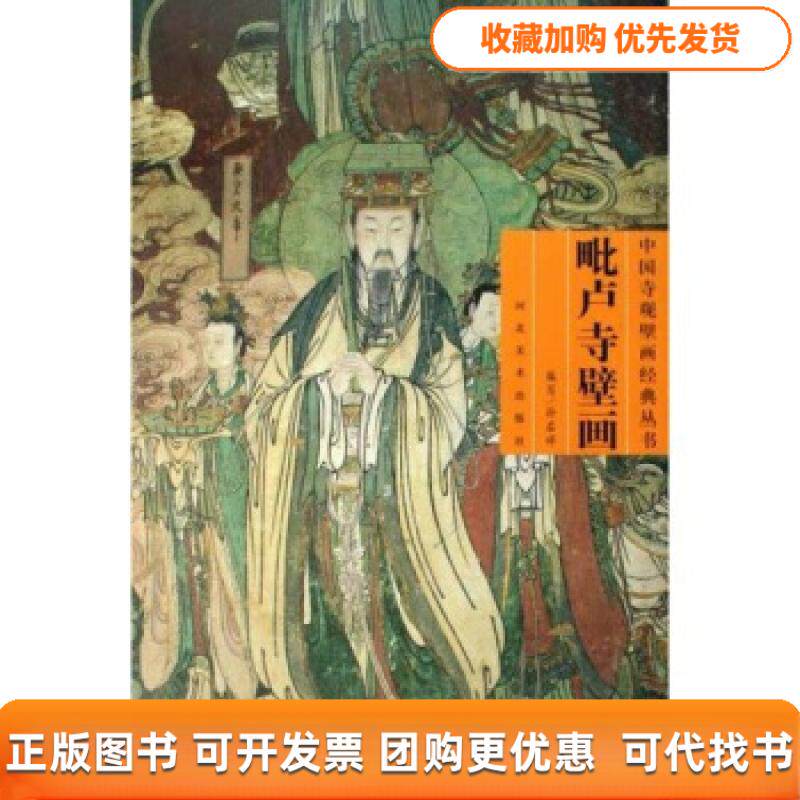 【正版书包邮】毗卢寺壁画附光盘中国寺观壁画经典丛书中国寺观壁画经典丛书孙启祥河北美术出版社