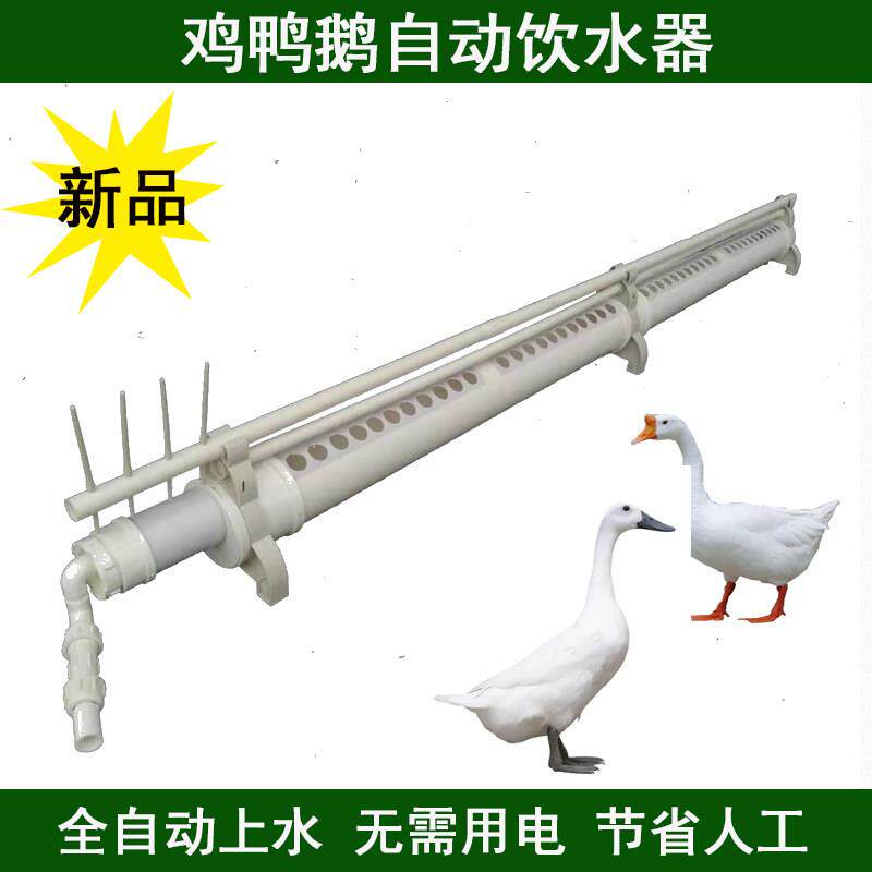 新型鸡饮水器自动喂水鸭鹅喝水家禽食槽养鸡养殖水槽水壶配件套装