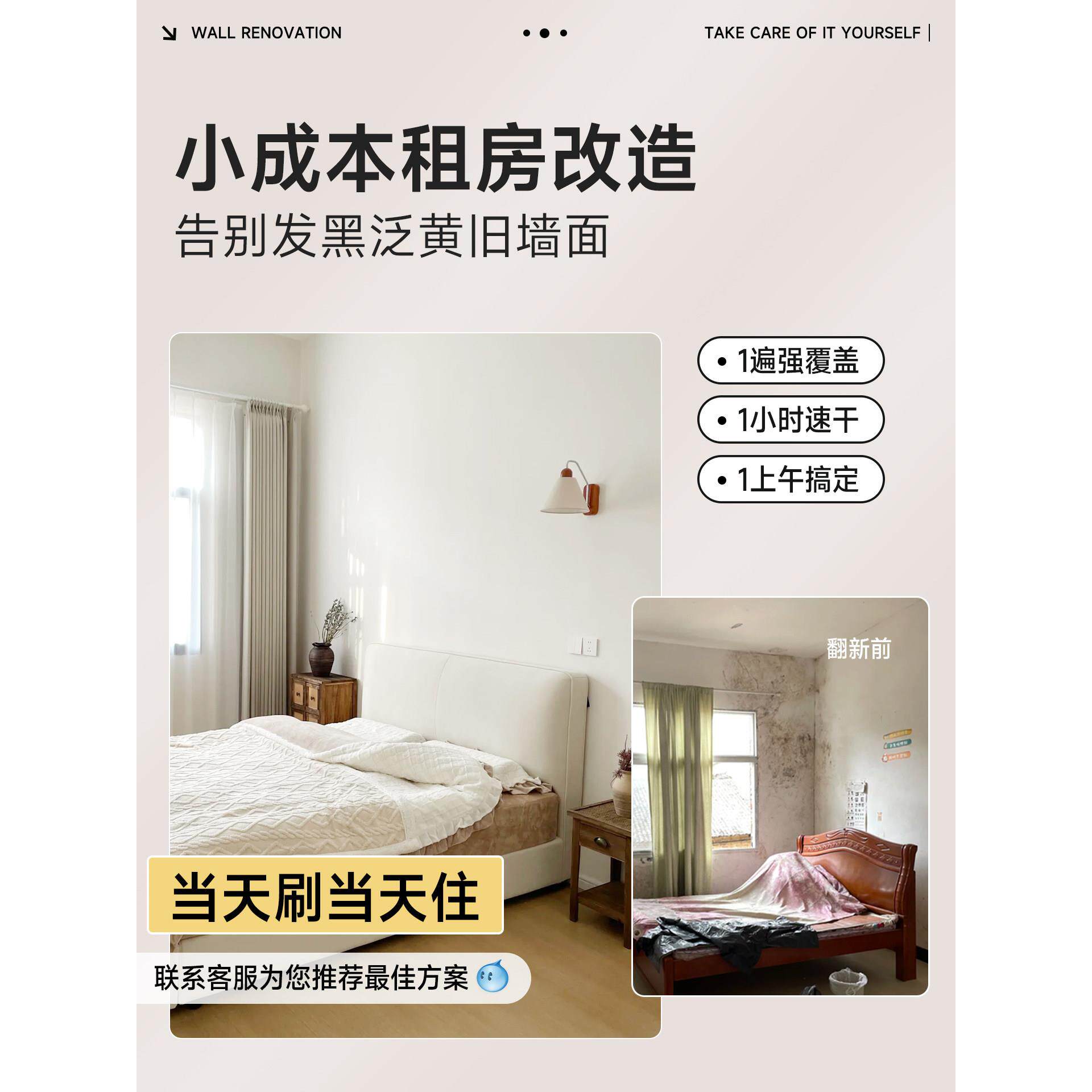 出租房室内家用乳胶漆内墙防霉防潮自刷白色环保涂料墙面翻新修覆