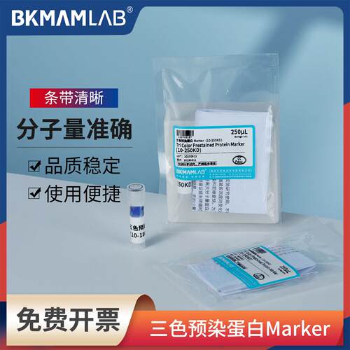 比克曼生物三色预染蛋白Marker实验室蛋白质电泳蛋白分子量标准