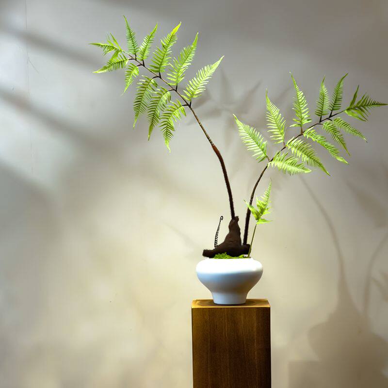 红磷蕨仿真绿植假花高级古风新中式茶室装饰禅意玄关摆件小型盆景
