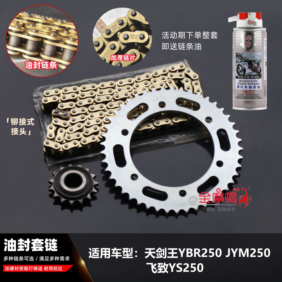 适用天剑王YBR250 飞致YS250摩托车大小链轮加厚油封链条套链