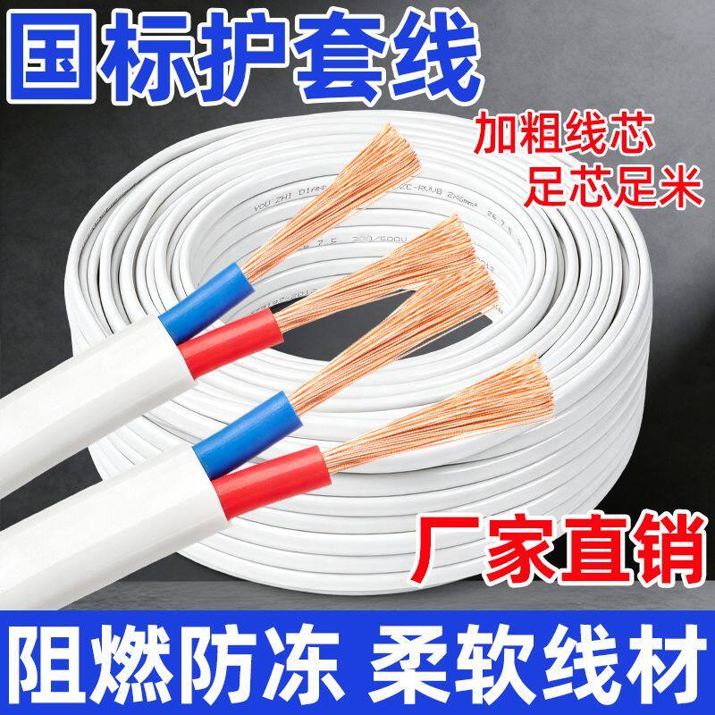 国标电线1.5/2.5/4/6平方白色护套线户外广告灯装饰家用电源线