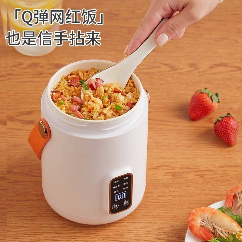 电炖炖锅煮粥神器家用多功能全自动迷你便携辅食便携式煲汤熬粥
