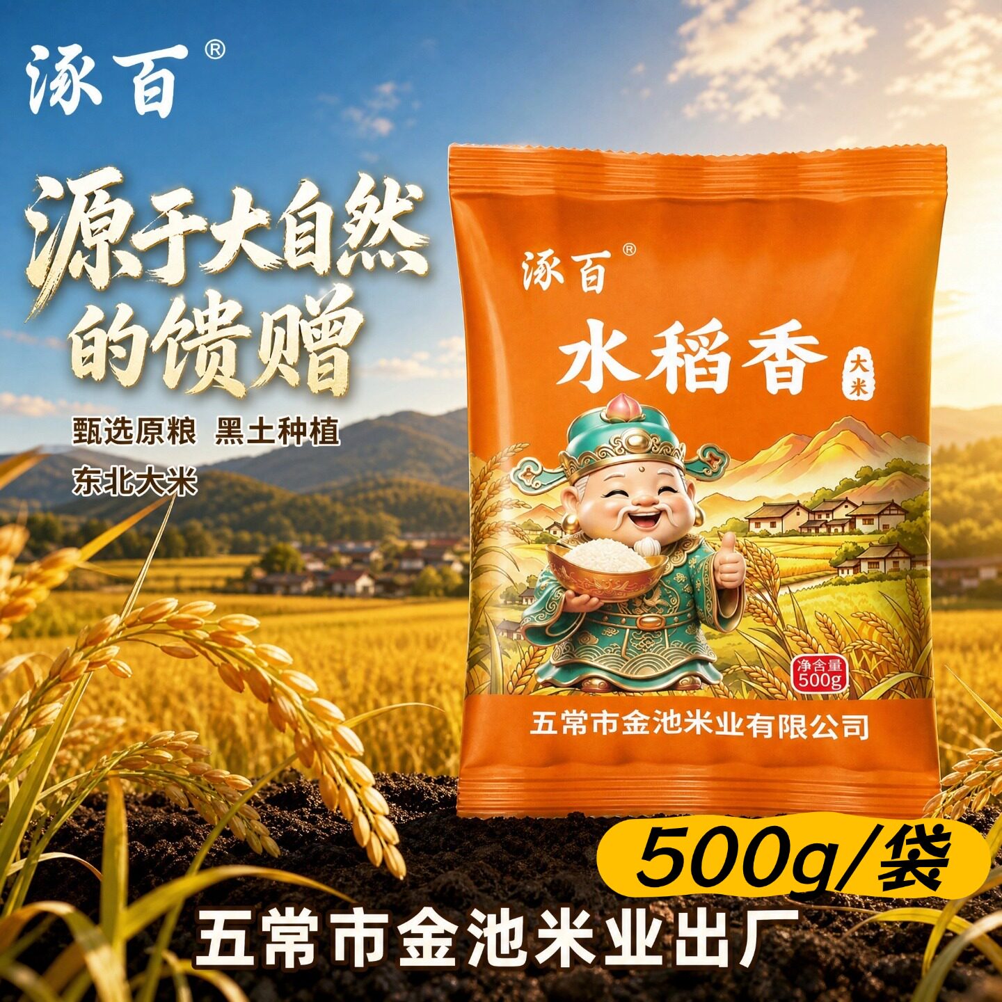 五常市金池米业出产东北大米三餐相伴粥饭皆宜囤货好米500g*1袋装