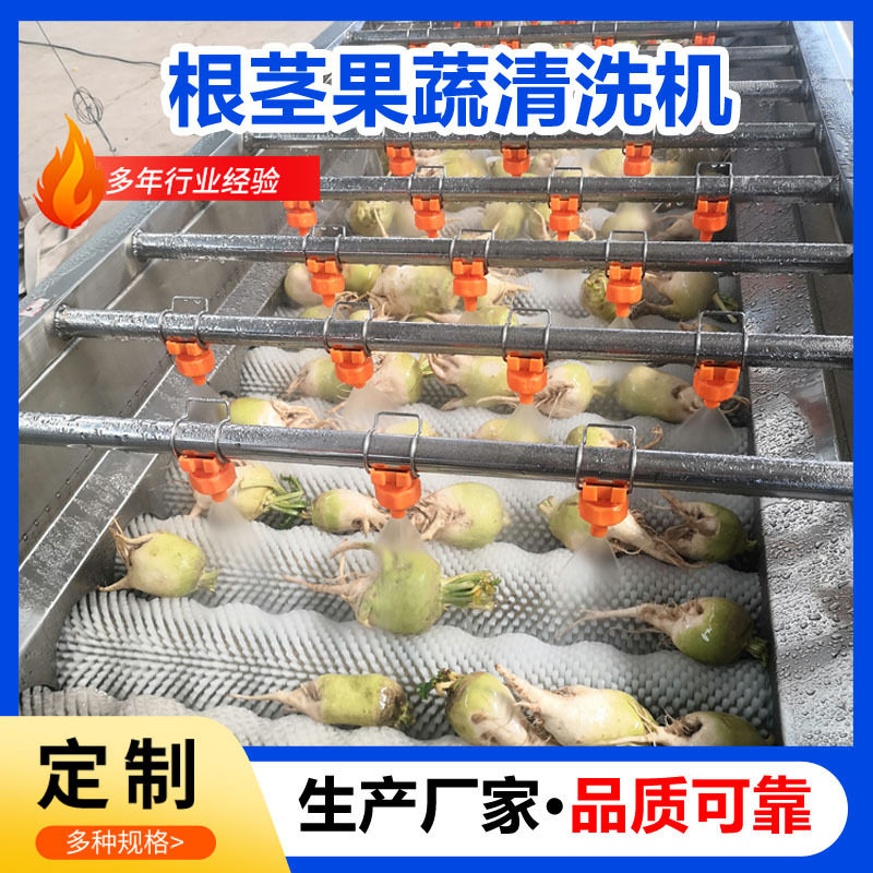 商用果蔬清洗机肉苁蓉毛刷清洗机全自动人参果毛辊清洗机洗果机