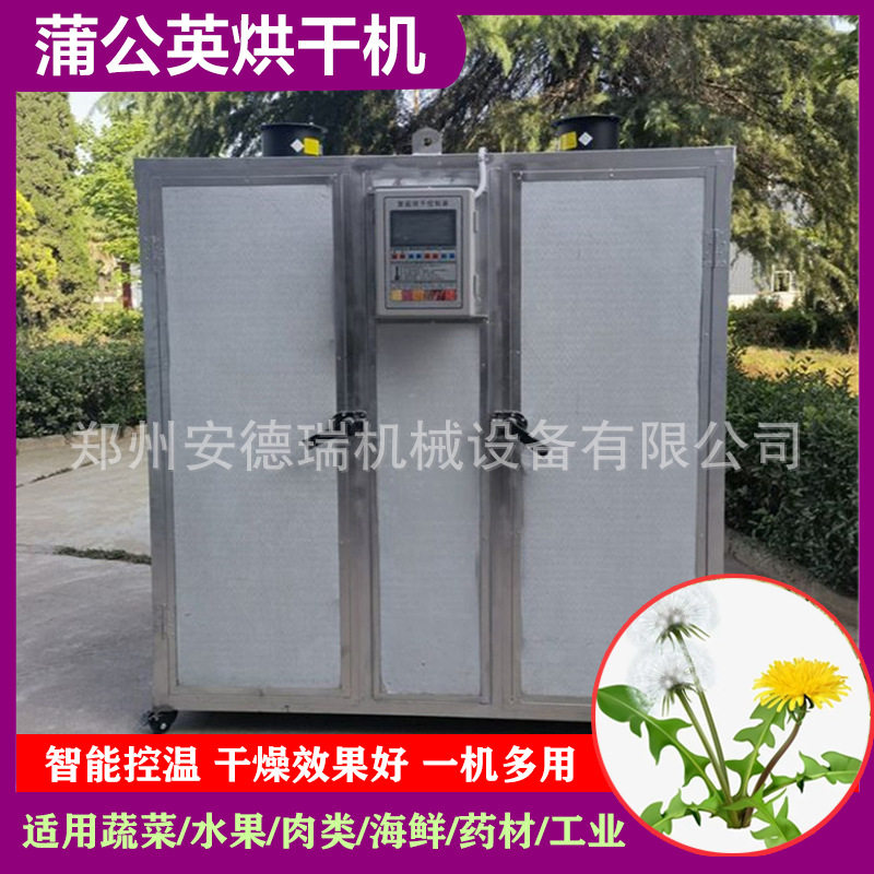 蒲公英苗烘干机大中型黄花苗干燥机智能黄黄苗叶子烘干箱设备