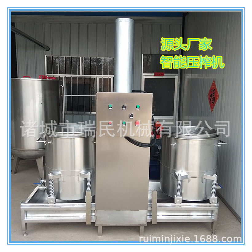 桑葚樱桃水蜜桃榨汁机苹果醋榨汁机500L大型不锈钢压榨机