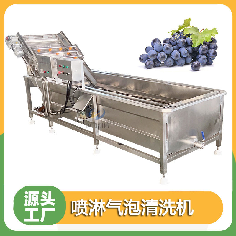 腌制泡菜东北酸菜清洗脱盐机果蔬带喷淋气泡清洗机苏子叶清洗机
