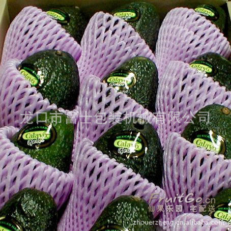 富士EPE水果蔬菜网套成型设备珍珠棉发泡机器源头厂家