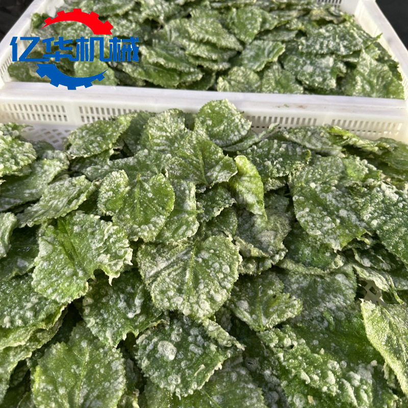 蘑菇油炸机红薯条油炸加工全套设备桑叶裹浆油炸生产线