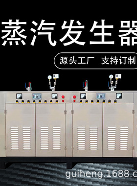 洁净型360KW电加热蒸汽机纺织熨烫配套设备高温热能蒸汽发生器