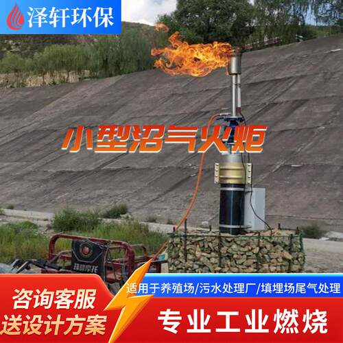 养殖场专用小型沼气火炬 污水站沼气放空火炬 安全防爆燃烧火炬