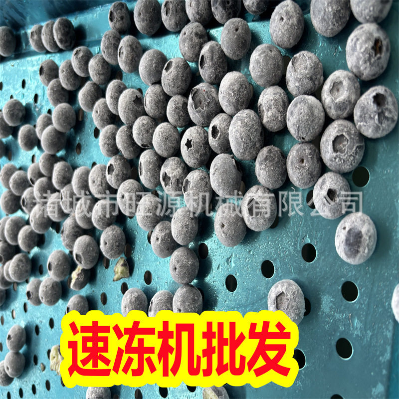 手抓饼速冻机包心鱼丸鱼豆腐单冻设备超低温冷冻机批发