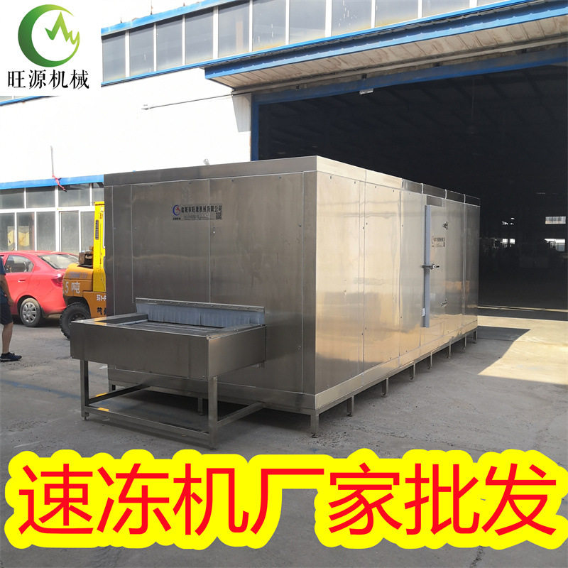 大型汤圆速冻机速冻汤圆机器低温速冻包子水饺机器厂家批发