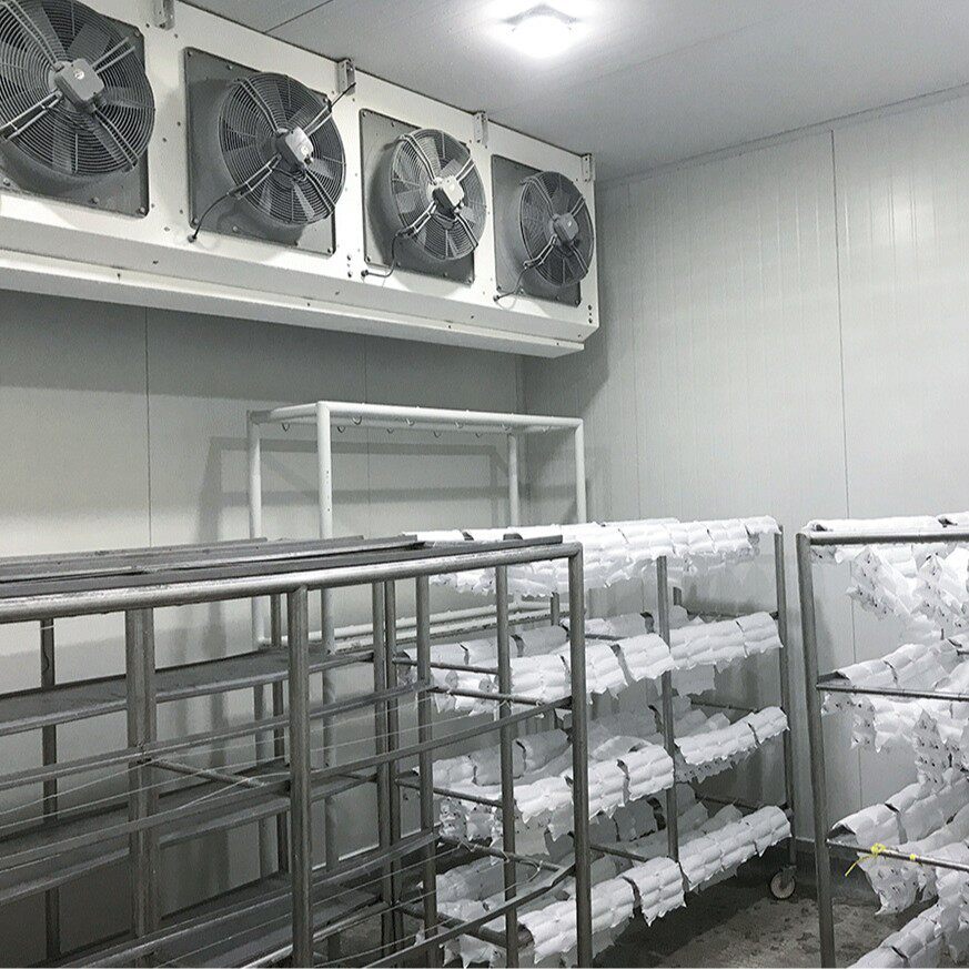 商用黄花鱼速冻机大型水蜜桃果蔬速冻生产线黄瓜芋头隧道式单冻机