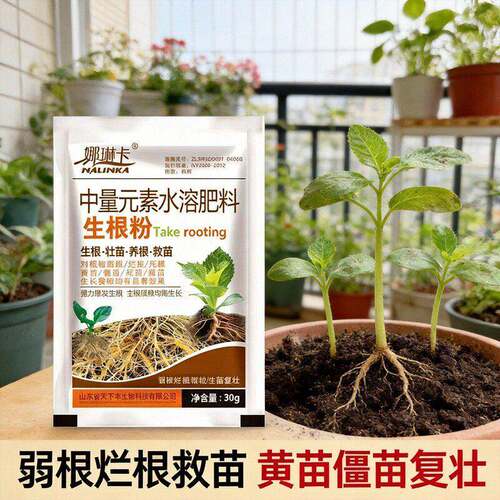 生根粉强力生根粉死苗烂根沤根移栽育苗枝条快速生根液插花园艺用