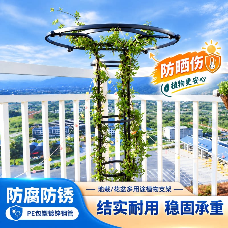 镀锌钢管伞形爬藤花架