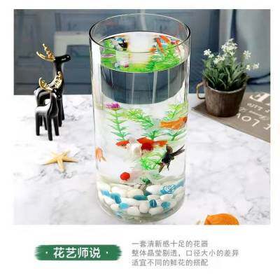 超大玻璃花瓶透明特大号巨型大口径宽口广口插花银柳富贵竹摆件
