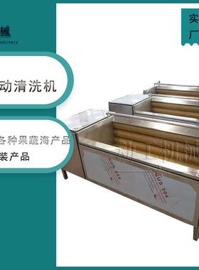 大型商用胡萝清洗设备 工业级菠萝洗果机 红枣毛棍清洗机