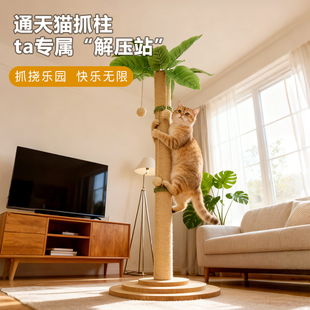 椰树猫爬架剑麻抓柱通天柱猫咪解压站客厅磨爪玩具加高加粗猫抓柱