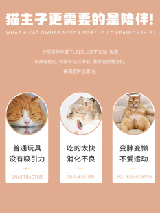 实木猫玩具逗猫棒漏食球狗狗猫咪自嗨解闷自动猫粮零食宠物喂食器