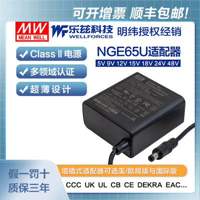 明纬电源适配器新NGE65U/I/E-P1J 65W墙插5/9/12/15/18/24/48V