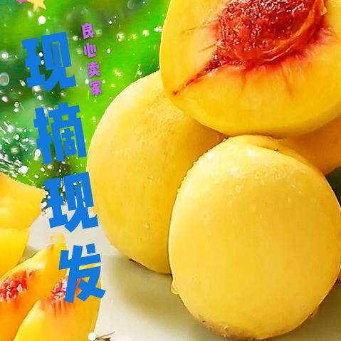 丹东现摘新鲜水蜜桃包邮