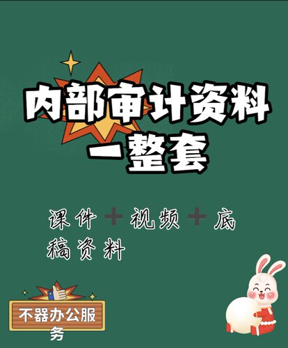 内部审计资料内审企业内部审计课程精讲加课件送底稿资料