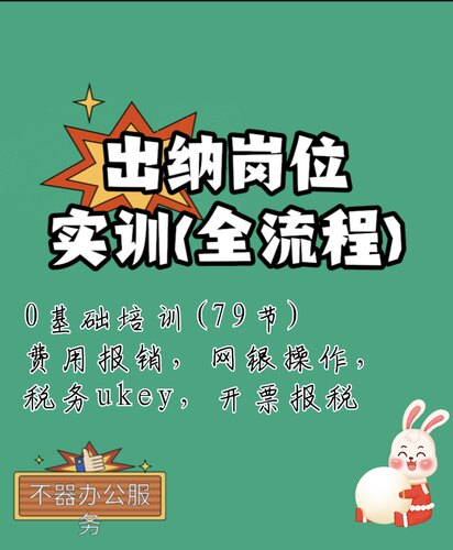 出纳岗位实训全流程系统学习费用报销网银操作税务Ukey 开票报税