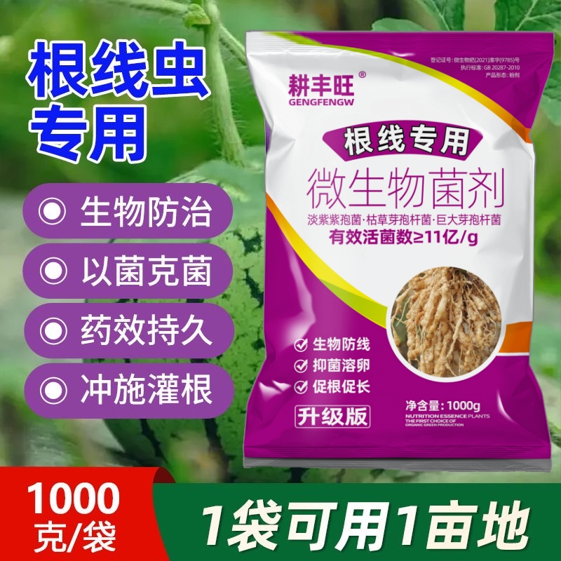 德国进口根结线虫专用淡紫紫孢菌淡紫拟青霉柑橘大棚线虫瓜果蔬菜
