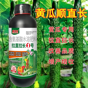 德国进口黄瓜拉直拉长黄瓜专用顶花带刺拉直拉长鲜嫩抗病黄瓜高产
