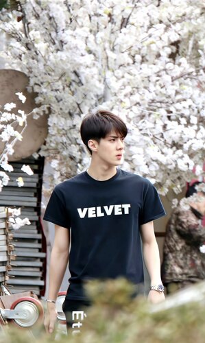 EXO sehun吴世勋爱豆同款T恤全棉韩版男女同款短袖潮学生小众火